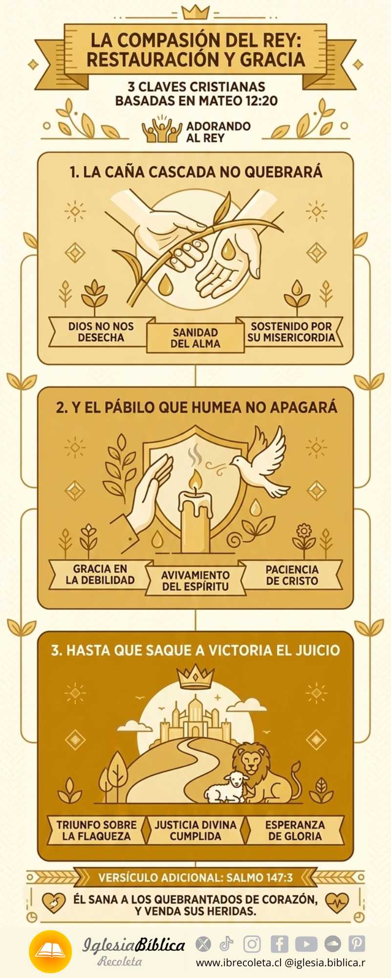 Caña cascada y pábilo que humea - infografía del estudio bíblico