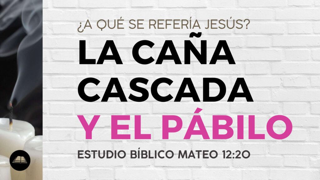 caña cascada y pábilo que humea